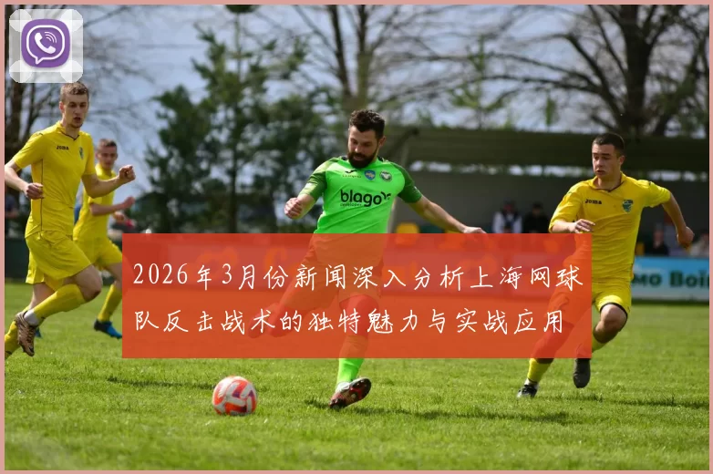 2026年3月份新闻深入分析上海网球队反击战术的独特魅力与实战应用